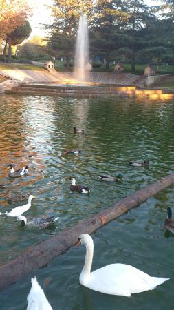 Imagen de El Castillo (parque)