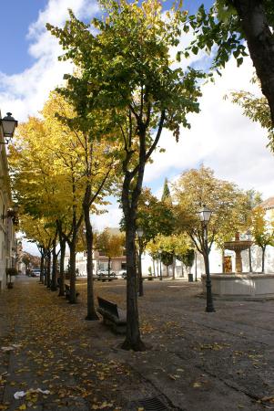 Imagen de Plaza de La Constitución 2
