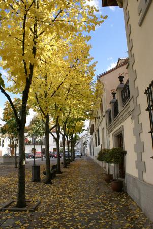 Imagen de Plaza de La Constitución