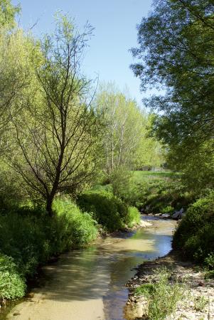 Imagen de Río Guadarrama
