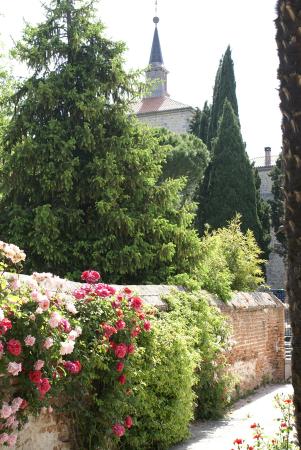 Imagen de Tapia de la Huerta del Infante Don Luis