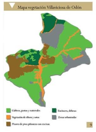 Imagen Vegetación y fauna: rasgos generales