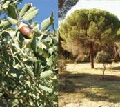 Imagen Paisajes y usos generales del suelo