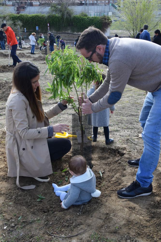  Imagen Los niños y niñas nacidos en 2018 tendrán un árbol identificado con su nombre durante la plantación que se celebrará el 17 de marzo