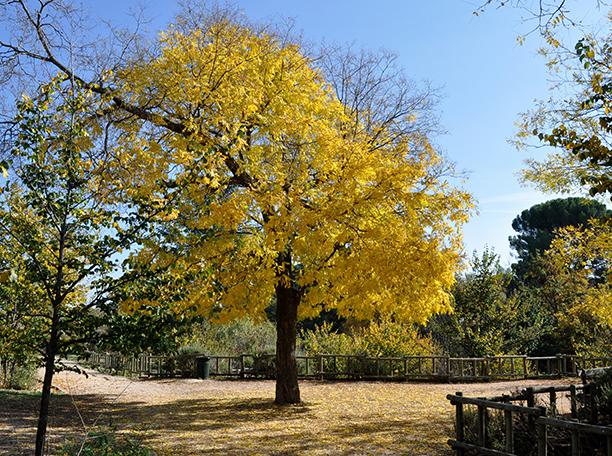 Imagen $htmlUtil.escape($title)