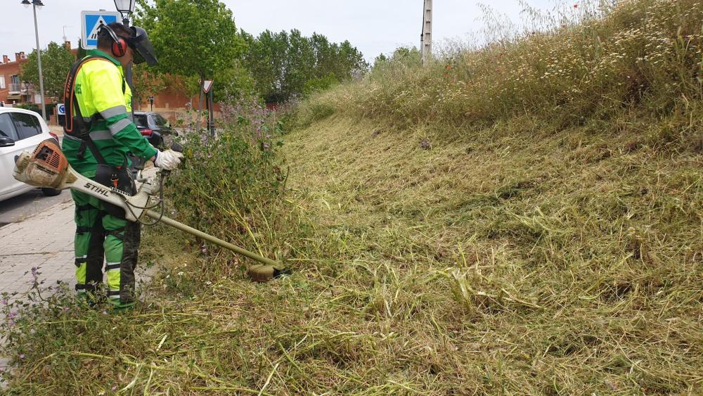  Imagen Las labores de desbroce y de mantenimiento de jardines y zonas verdes se refuerzan con un plan de choque municipal