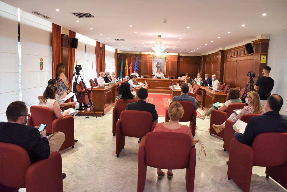  Imagen Vídeo de la sesión de pleno celebrada el 29 de junio de 2020