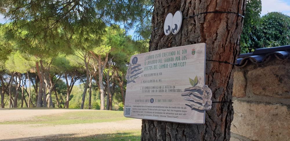  Imagen La concejalía de Turismo invita a participar en una ruta medioambiental denominada “Los árboles hablan"