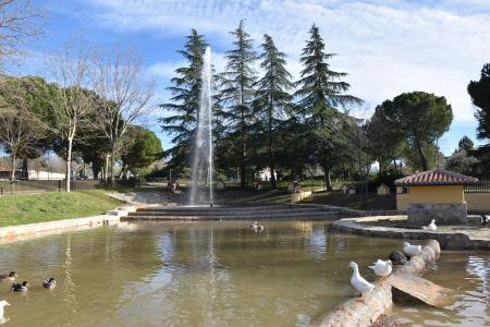 Abierto estanque del parque de El Castillo 2