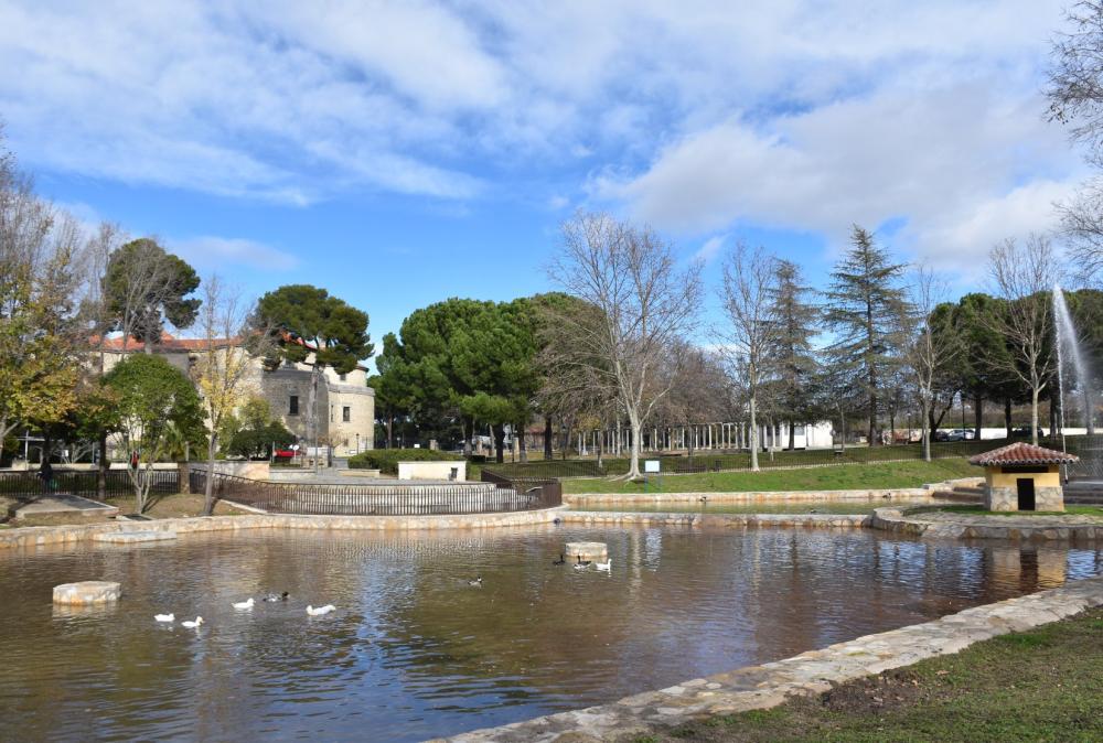 Los patos regresan al estanque del parque de El Castillo después de los trabajos de renovación