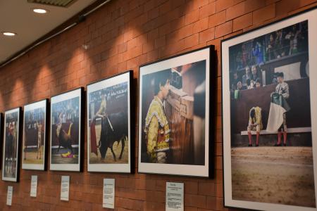 exposición taurina 2