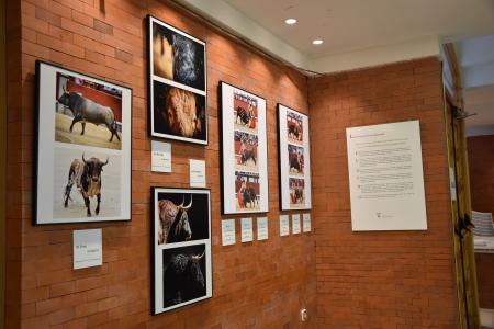 exposición taurina 5