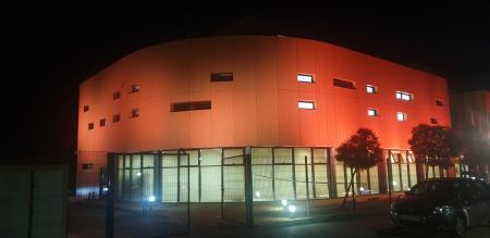 miguel delibes iluminado