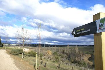  Imagen El Anillo Verde, un camino de lujo para el paseante y el ciclista