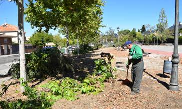  Imagen Trabajos de acondicionamiento de la zona verde situada en la calle Guadalajara de Campodón