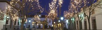 El Ayuntamiento les desea Felices Fiestas y Feliz Año 2009
