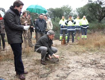  Imagen El Monreal es testigo de la suelta de conejos que favorecerán la presencia de las aves rapaces