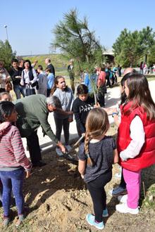  Imagen Los escolares celebran el Día del Árbol con la plantación de 80 pinos piñoneros