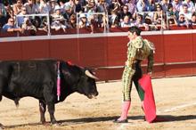  Imagen El novillero local, Juan José Bellido "Chocolate" se recupera de la cornada recibida en Villaviciosa de Odón