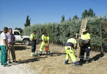  Imagen Nuevo circuito biosaludable en el Anillo Verde