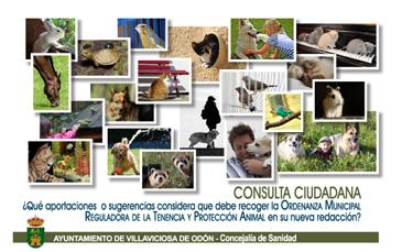  Imagen Este martes concluye el plazo para realizar sugerencias o aportaciones a la Ordenanza Reguladora de Tenencia y Protección Animal