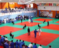  Imagen Este fin de semana el Polideportivo Municipal de Villaviciosa de Odón acogerá el Festival de Artes Marciales