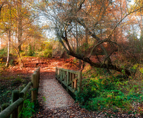 Imagen Organiza tu visita
