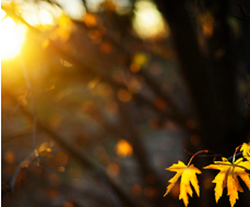  Imagen Villaviciosa en imágenes