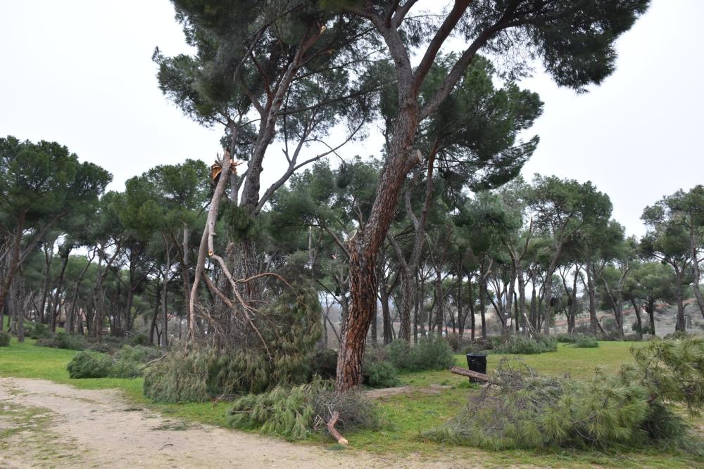  Imagen El Ayuntamiento aprueba solicitar la declaración de zona catastrófica para Villaviciosa de Odón