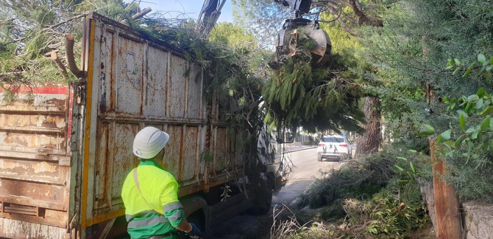 El Ayuntamiento incrementa los medios humanos y materiales para agilizar las labores de retirada de árboles y ramas como consecuencia del temporal