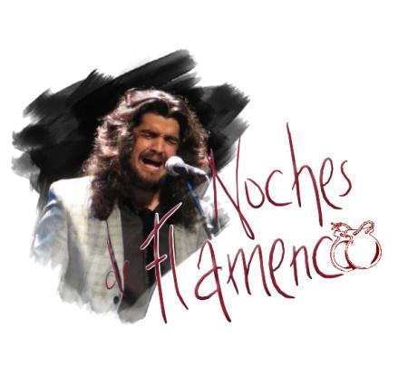 Noches de flamenco