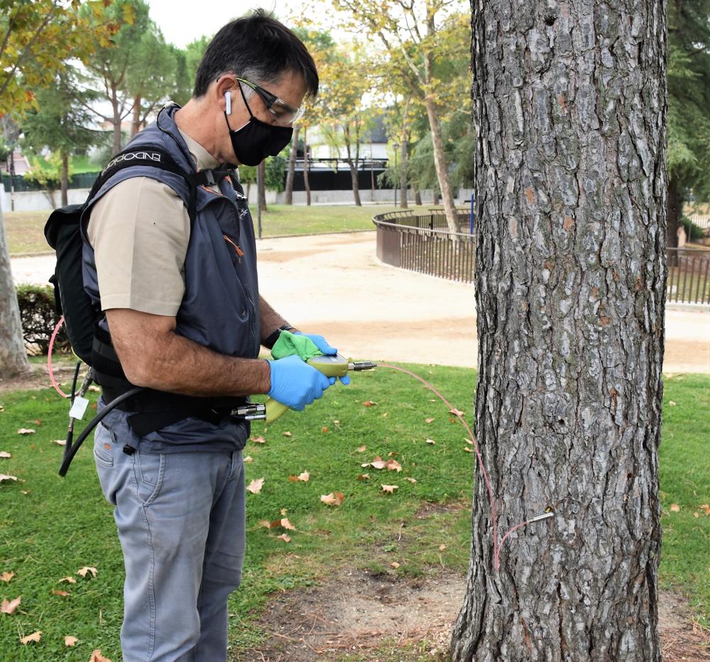  Imagen El Ayuntamiento de Villaviciosa de Odón inicia los tratamientos fitosanitarios contra la procesionaria mediante la moderna técnica de la endoterapia