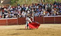 Corrida de toros.jpg
