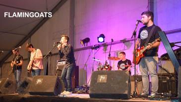 FLAMINGOATSweb.jpg