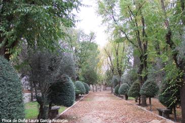 Finca Doña Laura copia.jpg