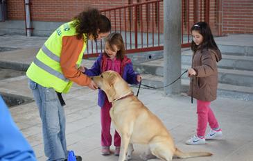 JORNADAS CANINAS 5web.jpg