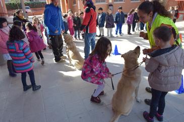 JORNADAS CANINAS web1.jpg