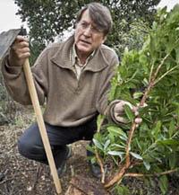 Joaquín Araujo web.jpg