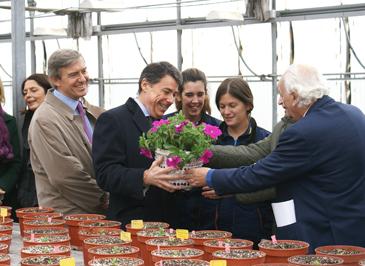 LA VEGUILLA WEB 6.jpg