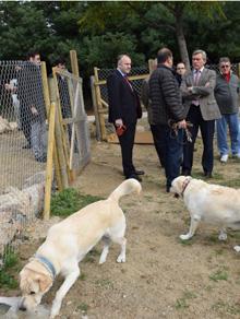 PARQUE CANINO JOSE.jpg