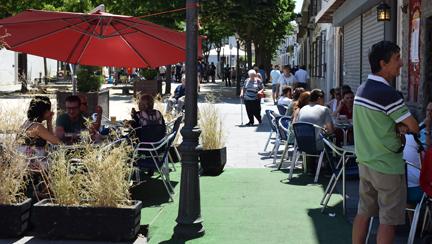 PINCHO AMBIENTEWEB.jpg