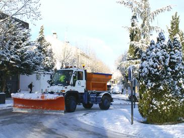 QUITANIEVES 2015.jpg