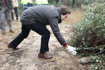 SUELTA DE CONEJOS 1.jpg