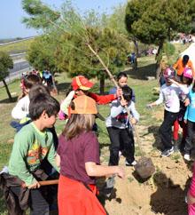 plantación vertic.jpg