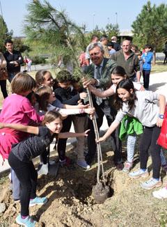 plantacion alcalde.jpg