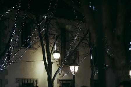 Imagen de Encendido de las luces de Navidad 2021 (21)