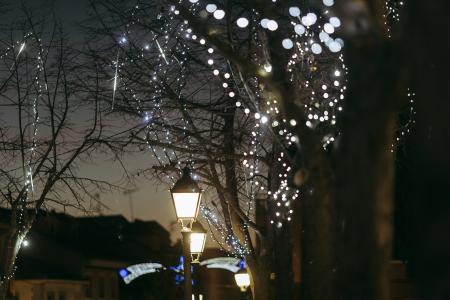 Imagen de Encendido de las luces de Navidad 2021 (24)