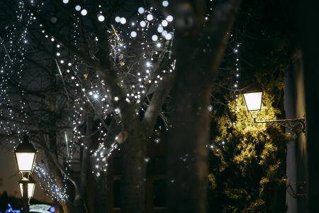 Imagen de Encendido de las luces de Navidad 2021 (25)