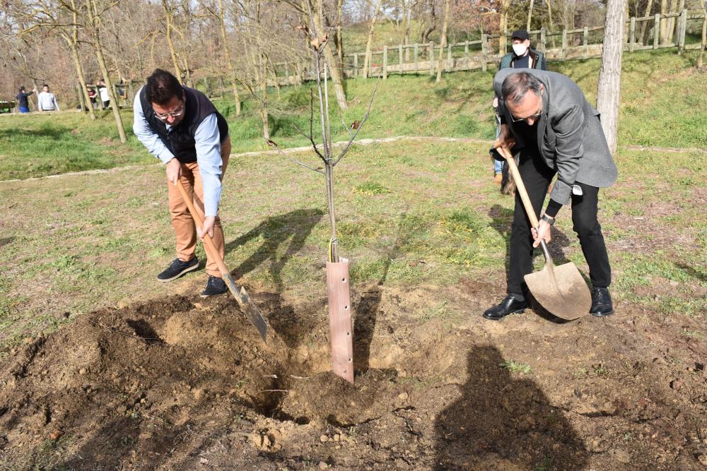  Imagen Plantación de árboles en El Forestal por parte del IES Centro de Capacitación Agraria