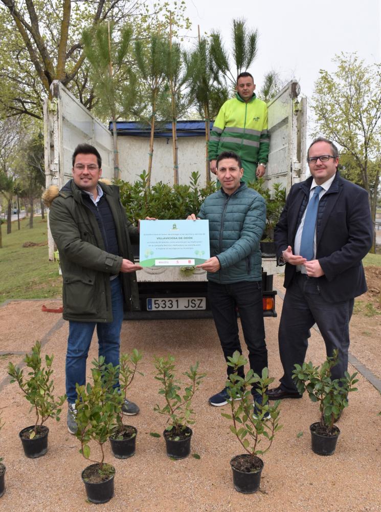  Imagen Villaviciosa de Odón recibe 75 madroños como premio por ser uno de los municipios ganadores de la campaña de Ecovidrio